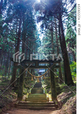 上色見熊野座神社　【熊本県阿蘇郡高森町】 41559354