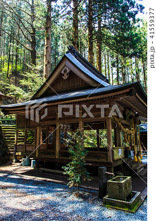 上色見熊野座神社 【熊本県阿蘇郡高森町】 上色見熊野座神社 【熊本県阿蘇郡高森町】 41559377