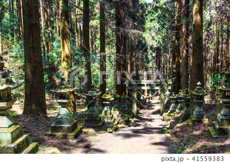 上色見熊野座神社 【熊本県阿蘇郡高森町】 上色見熊野座神社 【熊本県阿蘇郡高森町】 41559383