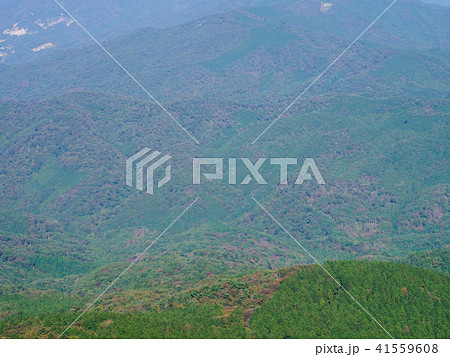 筑波山山頂 41559608