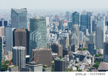 六本木ヒルズ屋上 41559800