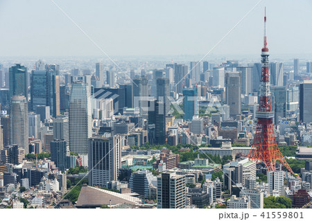 六本木ヒルズ屋上 41559801