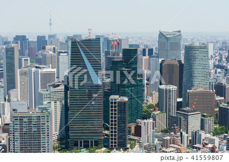 六本木ヒルズ屋上 41559807