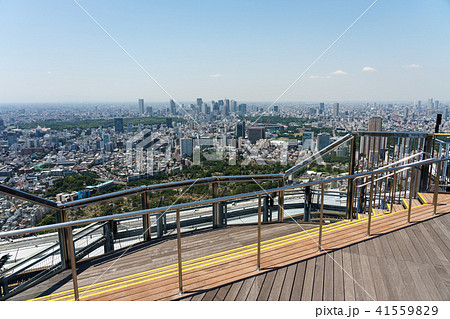 六本木ヒルズ 屋上スカイデッキ 六本木ヒルズ 屋上スカイデッキ 41559829