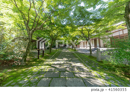 呑山観音寺　天王院 41560355