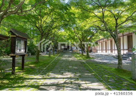 呑山観音寺　天王院 41560356