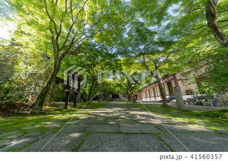 呑山観音寺　天王院 41560357