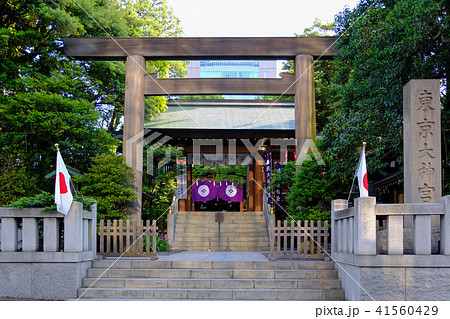 東京大神宮 41560429