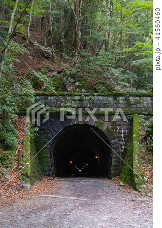 【重要文化財】旧天城トンネル（天城山隧道）コピースペース 41560460