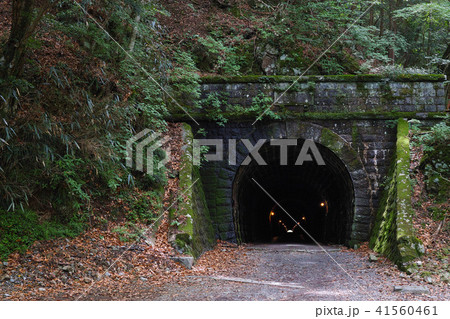 【重要文化財】旧天城トンネル（天城山隧道）コピースペース 41560461