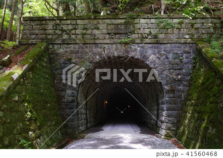【重要文化財】旧天城トンネル（天城山隧道） 41560468