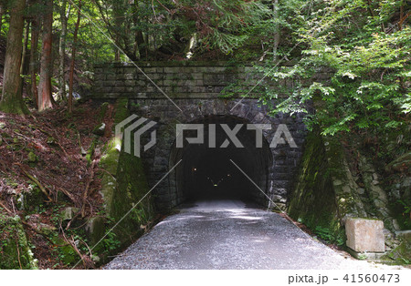 【重要文化財】旧天城トンネル(天城山隧道) 【重要文化財】旧天城トンネル(天城山隧道) 41560473