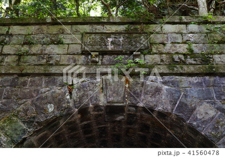 【重要文化財】旧天城トンネル（天城山隧道） 41560478