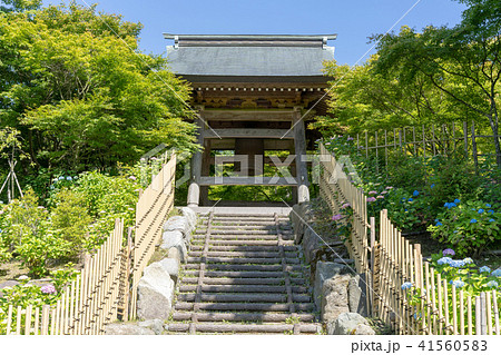 呑山観音寺　大百観音堂 41560583
