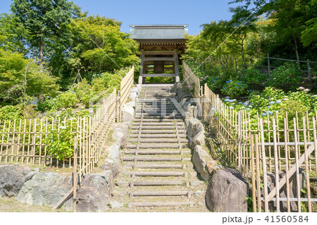 呑山観音寺　大百観音堂 41560584