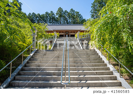 呑山観音寺　大百観音堂 41560585