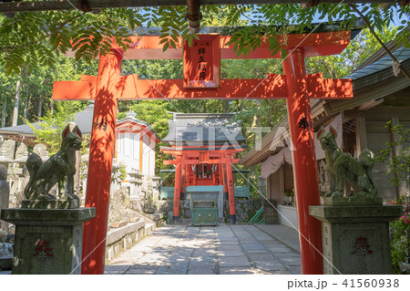 呑山観音寺　鉾立稲荷神社 41560938