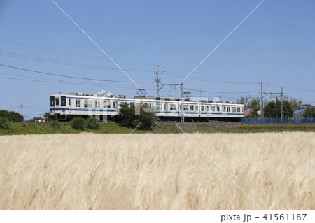 東武伊勢崎線800系(末端区間) 東武伊勢崎線800系(末端区間) 41561187
