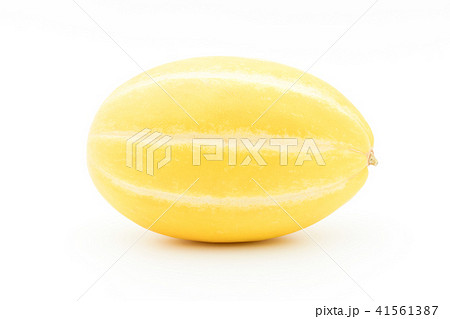 マクワウリ(チャメ): Korean melon マクワウリ(チャメ): Korean melon 41561387