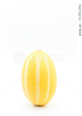 マクワウリ（チャメ）: Korean melon 41561391