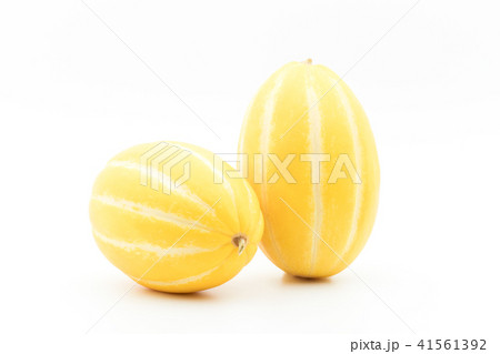 マクワウリ（チャメ）: Korean melon 41561392