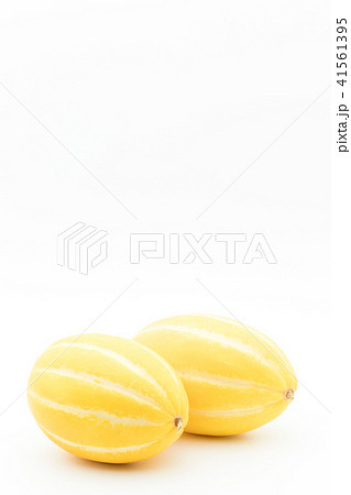 マクワウリ（チャメ）: Korean melon 41561395