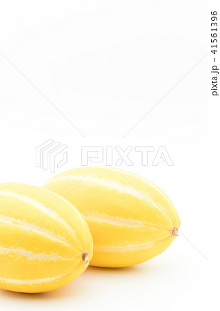 マクワウリ（チャメ）: Korean melon 41561396