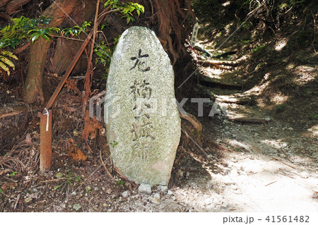 千早城 千早城 41561482