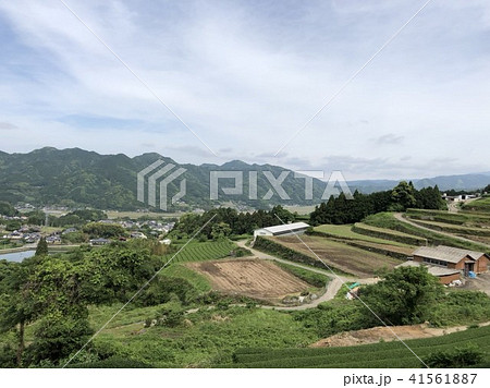棚田 棚田 41561887