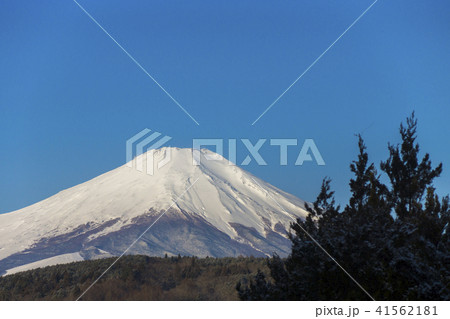 冠雪の富士山　山中湖 41562181