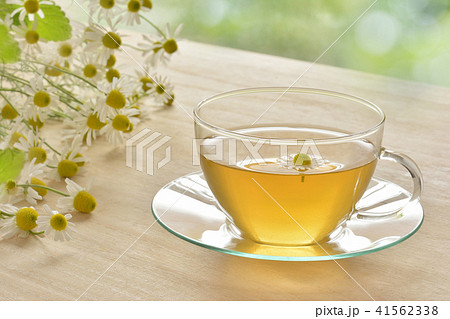 ハーブティー　カモミールの花 41562338
