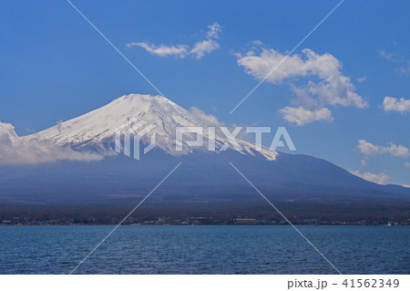 早春の富士山 山中湖 早春の富士山 山中湖 41562349