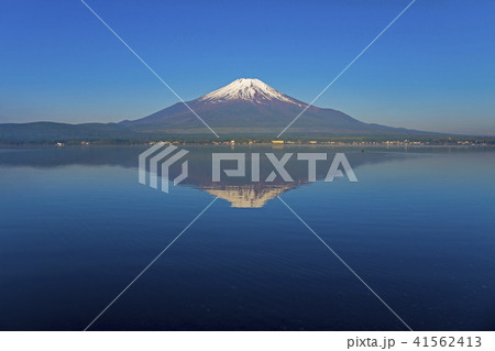 残雪の富士山　山中湖 41562413