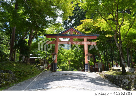 【滋賀県】日吉大社・山王鳥居 【滋賀県】日吉大社・山王鳥居 41562808