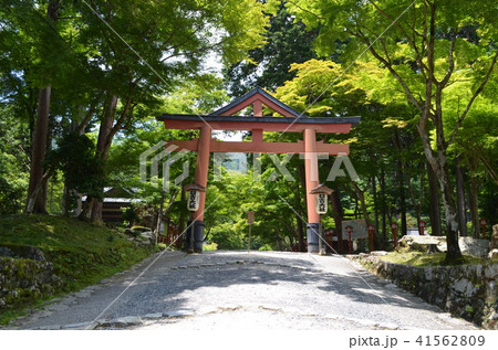 【滋賀県】日吉大社・山王鳥居 【滋賀県】日吉大社・山王鳥居 41562809