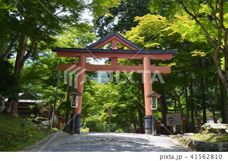 【滋賀県】日吉大社・山王鳥居 41562810