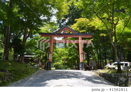 【滋賀県】日吉大社・山王鳥居 41562811