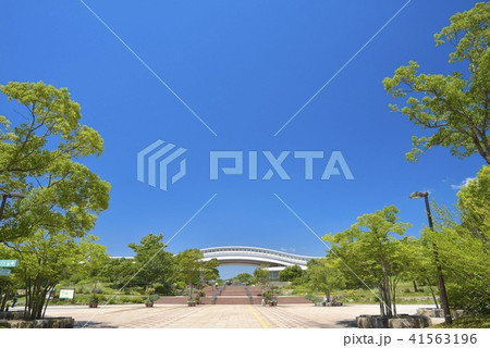 佐賀県　吉野ヶ里歴史公園 41563196