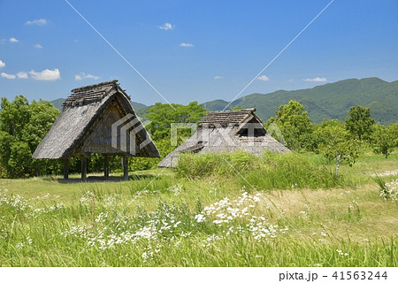佐賀県 吉野ヶ里歴史公園 佐賀県 吉野ヶ里歴史公園 41563244