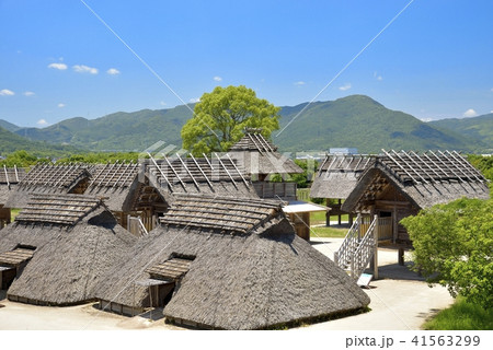 佐賀県　吉野ヶ里歴史公園 41563299