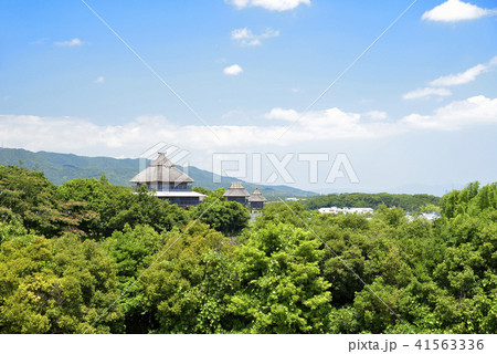 佐賀県　吉野ヶ里歴史公園 41563336