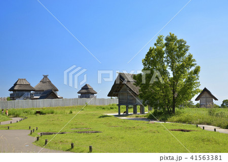 佐賀県 吉野ヶ里歴史公園 佐賀県 吉野ヶ里歴史公園 41563381
