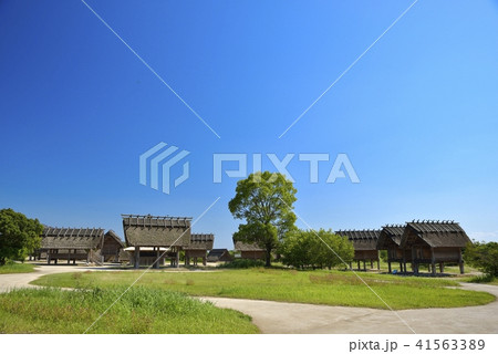 佐賀県　吉野ヶ里歴史公園 41563389