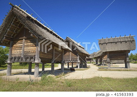 佐賀県　吉野ヶ里歴史公園 41563393