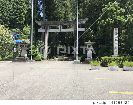 【石川県】白山比咩神社・鳥居 41563424