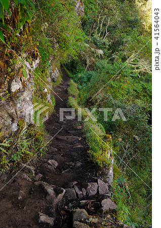 インカ道 41564043