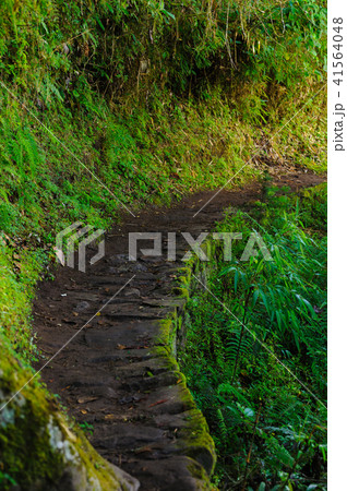 インカ道 インカ道 41564048