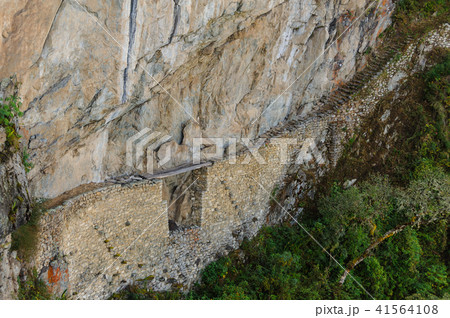 インカ道 41564108