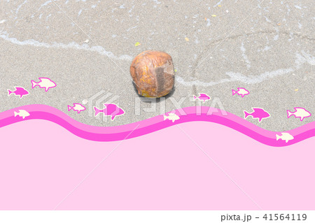 ビーチに転がるココナッツの写真、魚のイラスト 41564119