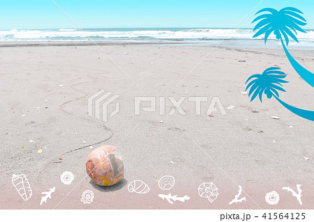 ビーチに転がるココナッツの写真、貝殻とヤシの木,のイラスト 41564125